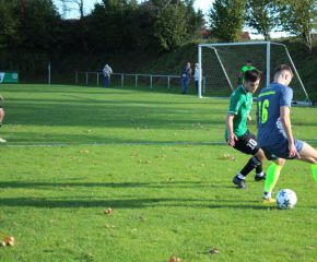 SGM RIngschnait - FCW91.jpg