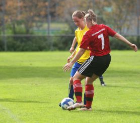 fCW - SGM Dettingen14.jpg