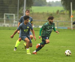 Alberweiler - FCW7.jpg