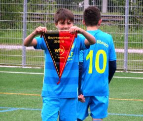 BS-Meister75.jpg