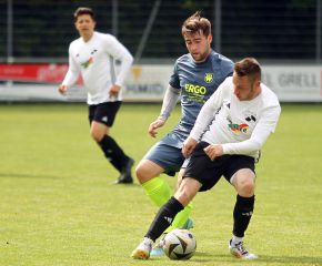 Bellamont - FCW28.jpg