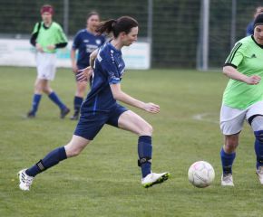 Bellamont II - FCW 23-241.jpg