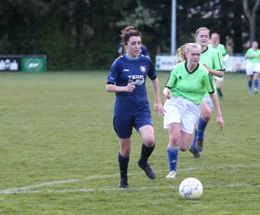Bellamont II - FCW 23-2418.jpg