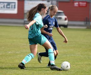 Bellamont II - FCW16.jpg