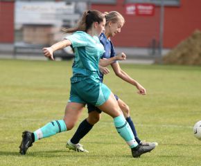 Bellamont II - FCW17.jpg