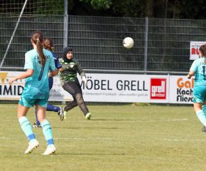 Bellamont II - FCW56.jpg