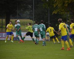 Berkheim7.jpg
