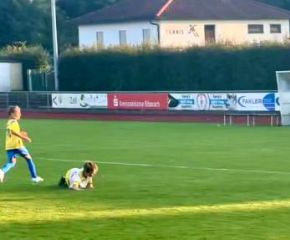 E1 Sulmetingen - FCW5.jpg