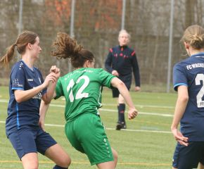 FCW - Alberweiler20.jpg