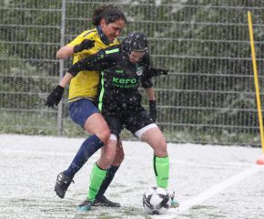 FCW - Alberweiler3.jpg