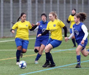FCW - Bellamont II9.jpg