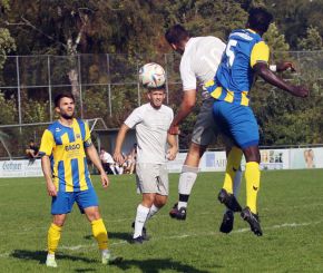 FCW - Birkenhard 23-248.jpg