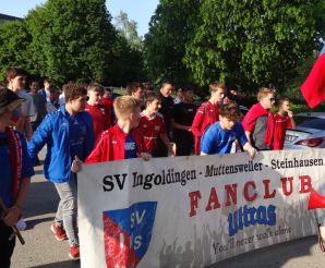 FCW - Motscha15.jpg
