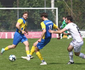 FCW - Ringschnait1.jpg