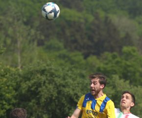 FCW - Ringschnait17.jpg