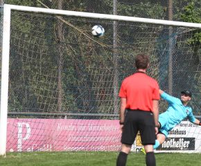 FCW - Ringschnait29.jpg