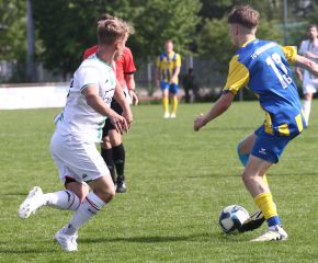 FCW - Ringschnait35.jpg