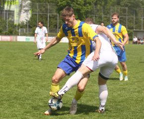 FCW - Ringschnait6.jpg