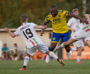 FCW - Ringschnait8.jpg