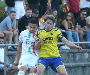 FCW - SGM Ringschnait12.jpg