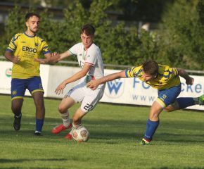 FCW - SGM Ringschnait9.jpg