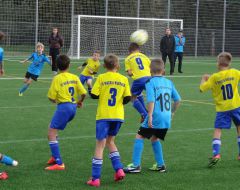 FCW - SSV 8.JPG
