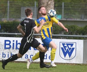 FCW - Schwendi3.jpg