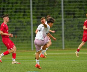 FCW- TSV TT36.jpg