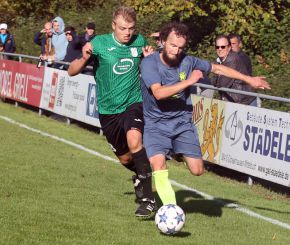 Ringschnait - FCW28.jpg