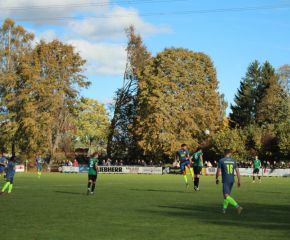 SGM RIngschnait - FCW21.jpg