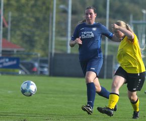 Alberweiler IIi - FCW17.jpg