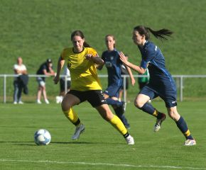 Alberweiler IIi - FCW18.jpg