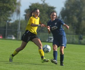 Alberweiler IIi - FCW22.jpg