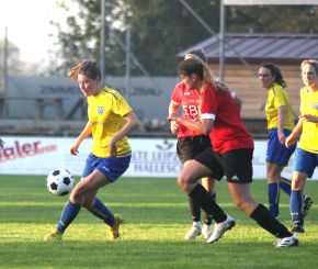 Baltringen - FCW59.jpg