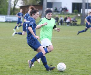 Bellamont II - FCW 23-2413.jpg