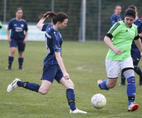 Bellamont II - FCW 23-242.jpg