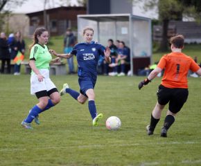 Bellamont II - FCW 23-2424.jpg