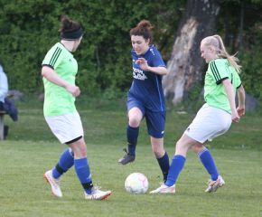 Bellamont II - FCW 23-248.jpg