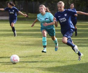 Bellamont II - FCW1.jpg