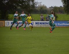 Berkheim11.jpg