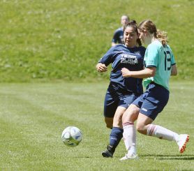 Dettingen-FCW31.jpg