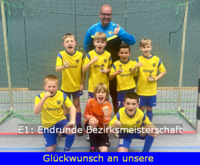 E1 Vizemeister 473.png