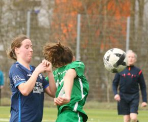 FCW - Alberweiler19.jpg