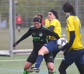 FCW - Alberweiler21.jpg