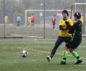FCW - Alberweiler8.jpg