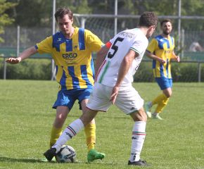 FCW - Ringschnait43.jpg