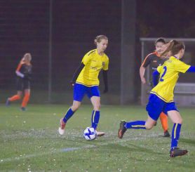 Frauen FCW - Waldsee 18.jpg