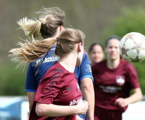Laupertshausen - FCW34.jpg