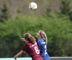 Laupertshausen - FCW46.jpg