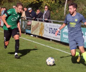 Ringschnait - FCW24.jpg